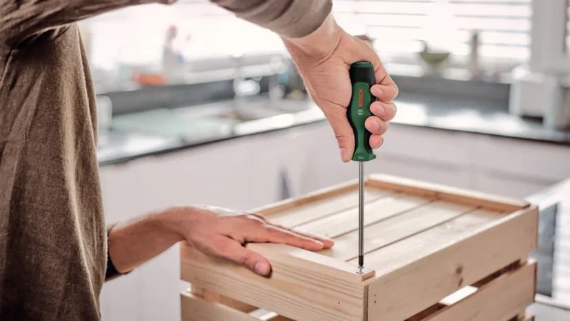 Bosch Home and Garden Tornavida Seti 8 Parça - 1600A02BX8