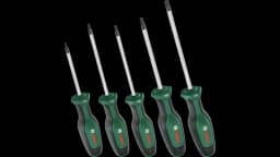 Bosch Home and Garden Torx Tornavida Seti 5 Parça 1600A02BX6