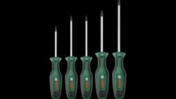 Bosch Home and Garden Torx Tornavida Seti 5 Parça 1600A02BX6