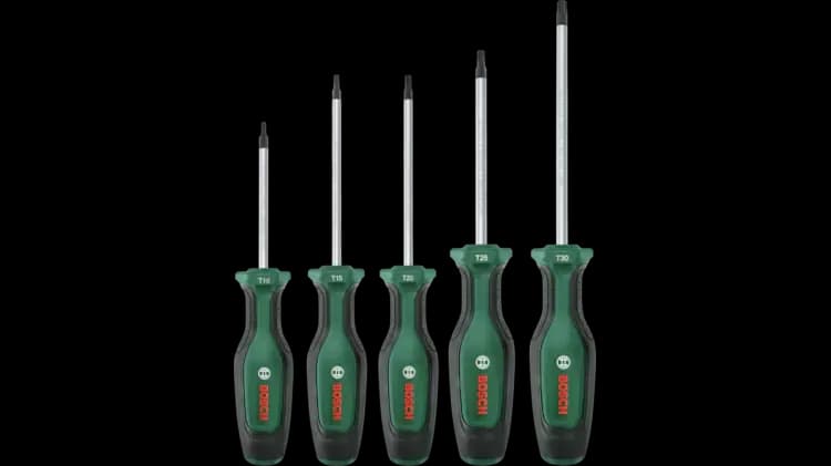 Bosch Home and Garden Torx Tornavida Seti 5 Parça 1600A02BX6