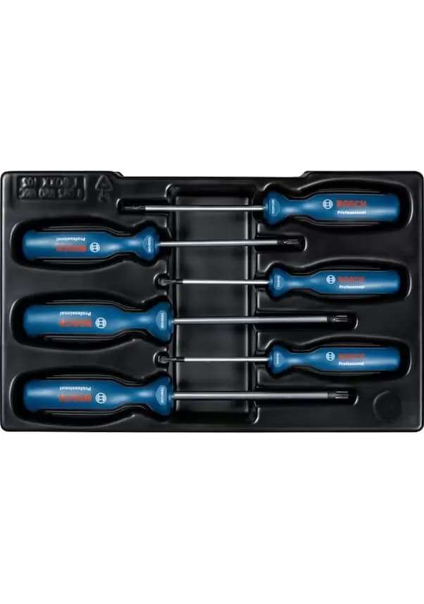 Bosch Professional Torx Tornavida Seti 6 Parça 1600A01V09