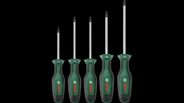 Bosch Home and Garden Torx Tornavida Seti 5 Parça 1600A02BX6